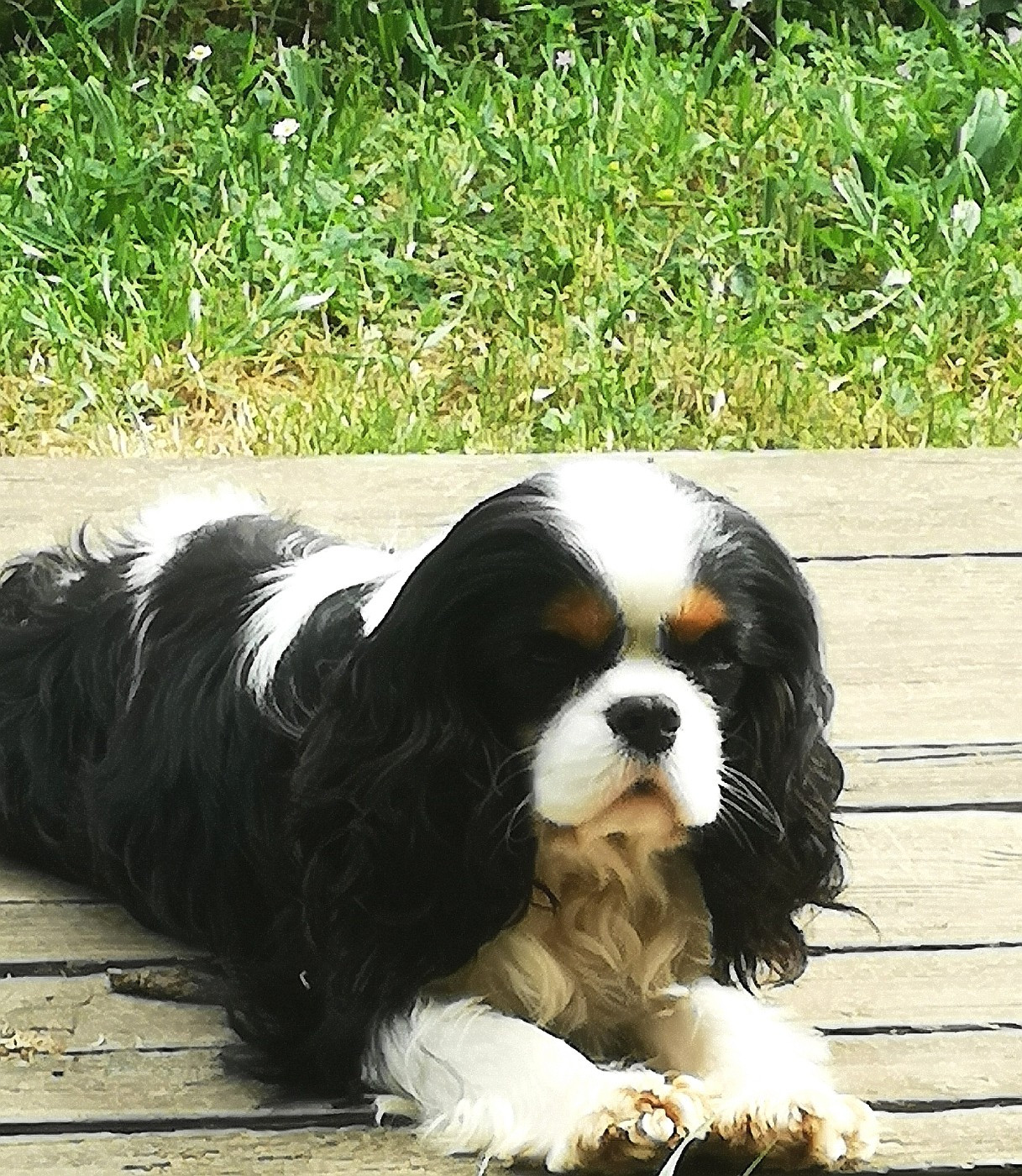 Jeune adulte disponible