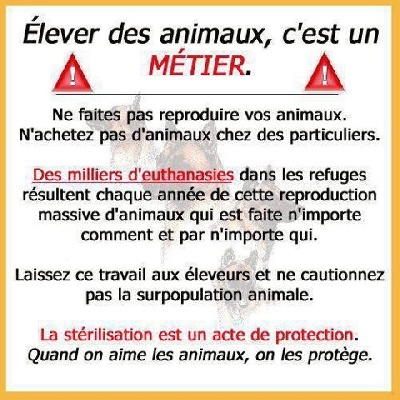 ONITSHA'S - Pourquoi chez un éleveur ????
